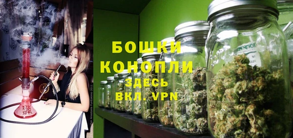 дурь Арсеньев