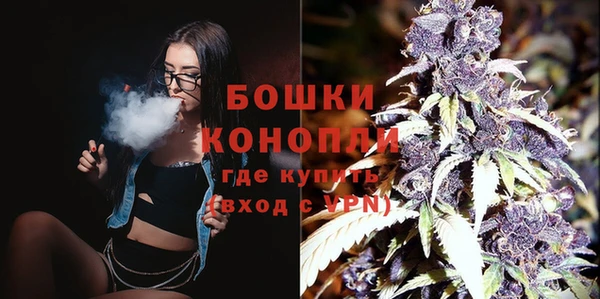 дурь Арсеньев