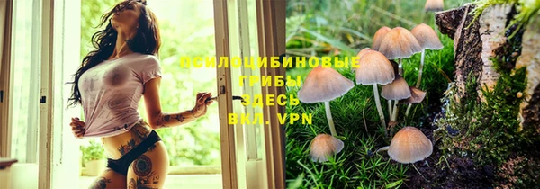 дурь Арсеньев