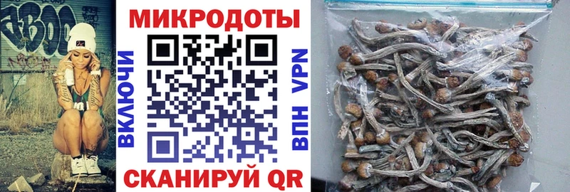 сколько стоит  Уяр  Галлюциногенные грибы Psilocybe 